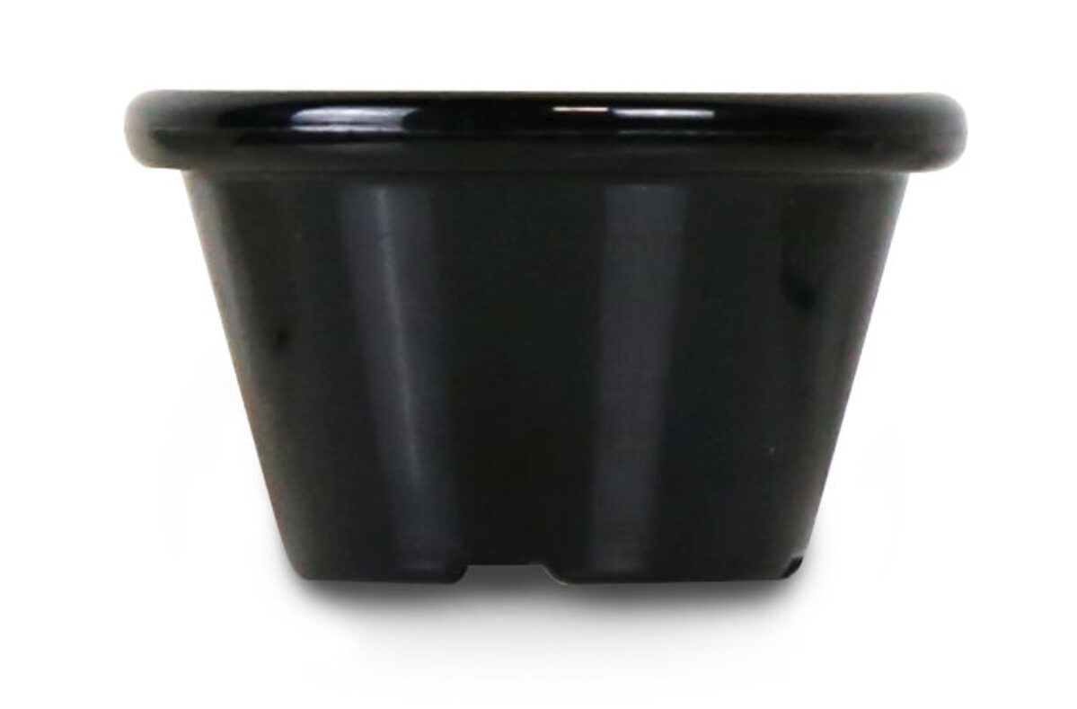 Ramekin – 12 pezzi