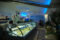 Banco alimentare Mirage Pesce