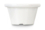 Ramekin – 12 pezzi