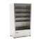 Murale refrigerato modello STONE 1000×700 mm
